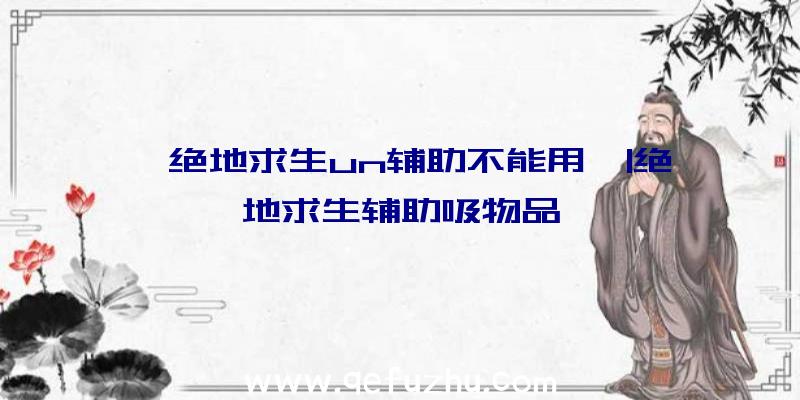 「绝地求生un辅助不能用」|绝地求生辅助吸物品